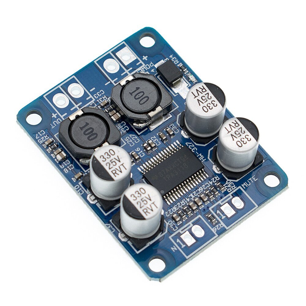 TPA3118 mono Board